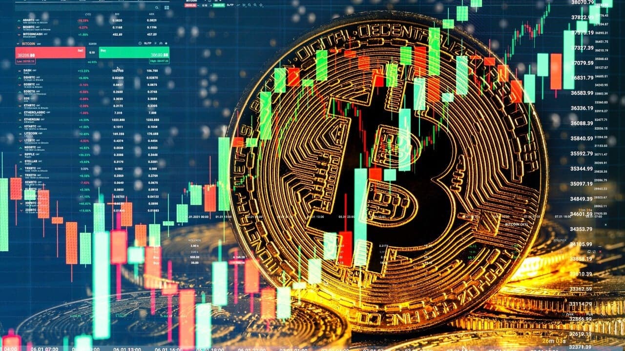 Real-Time Insights on Bitcoin Price Variability and Market Trends