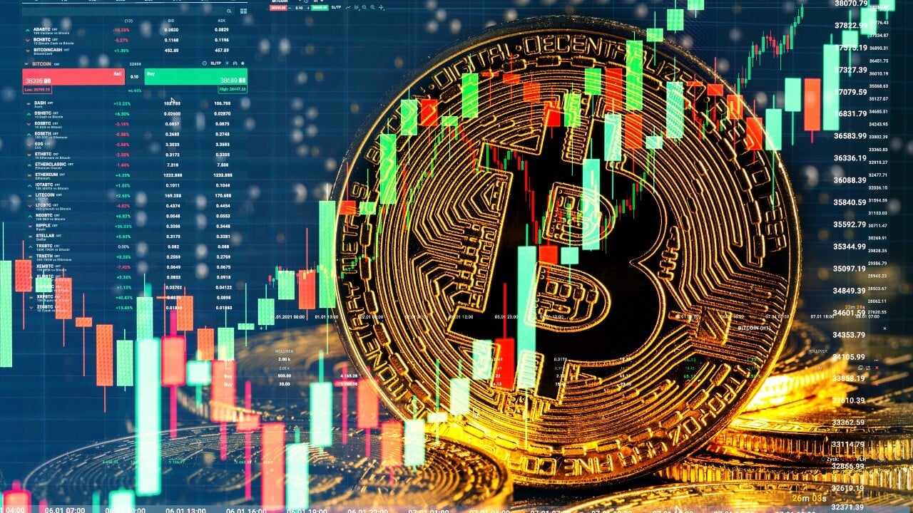Real-Time Insights on Bitcoin Price Variability and Market Trends