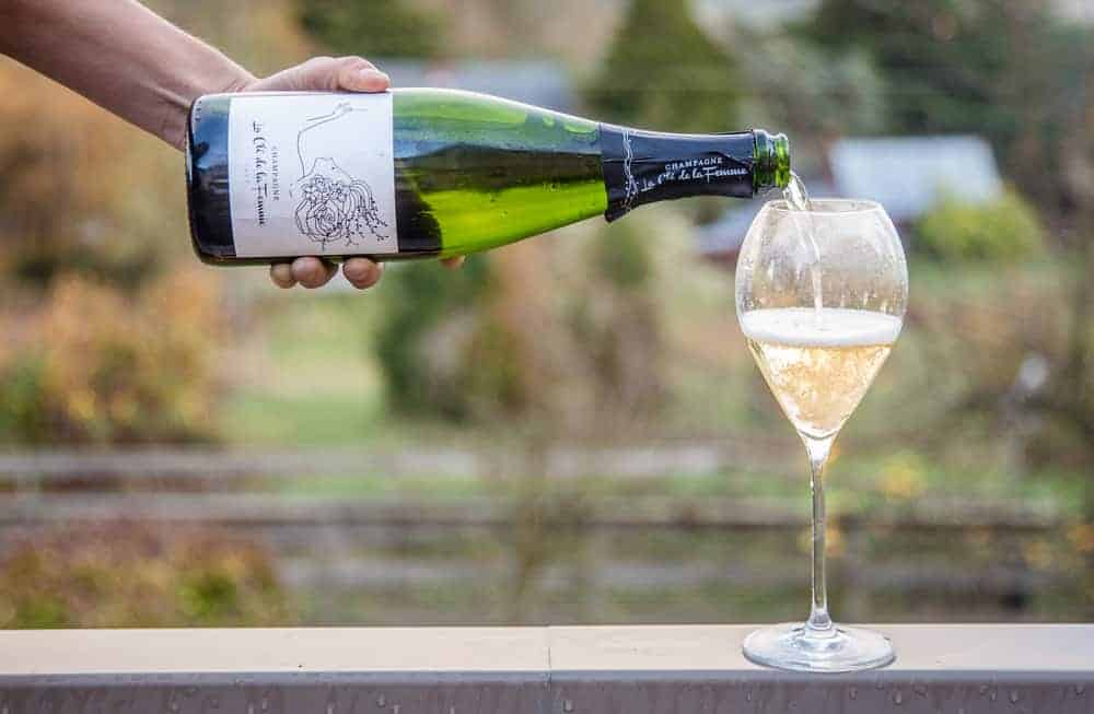 Discover Unique Clarksburg CA Wineries for Your Next Wine Tour