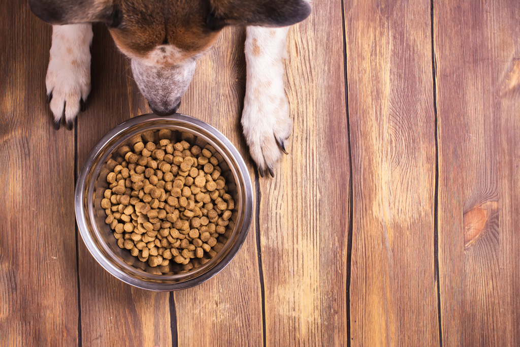 how much does farmers dog cost