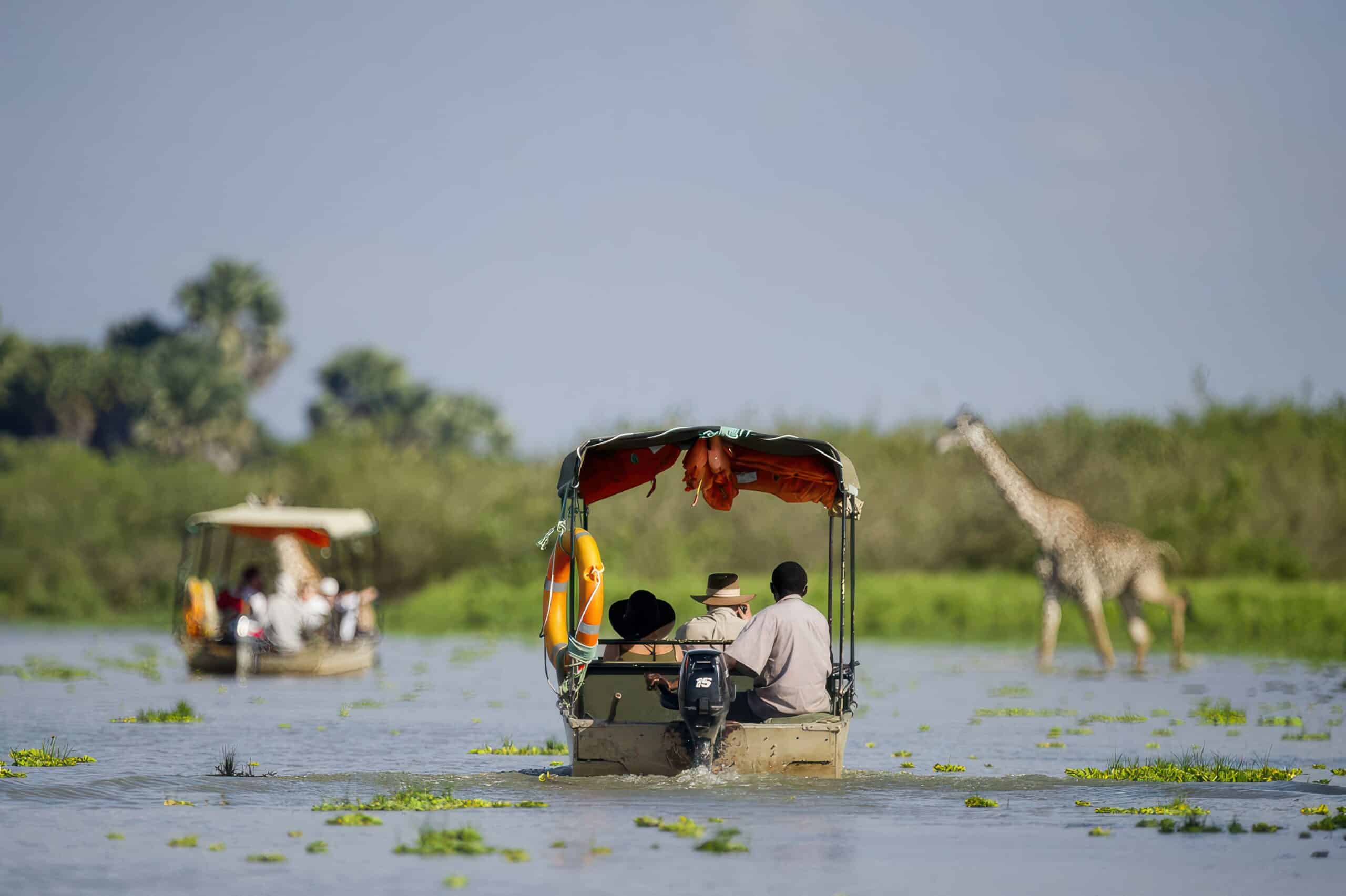 Adventure Awaits: Nyerere National Park Tanzania Safari Itineraries