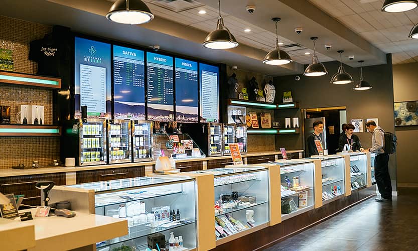 Fast and Reliable Dartmouth Cannabis Delivery at Your Doorstep