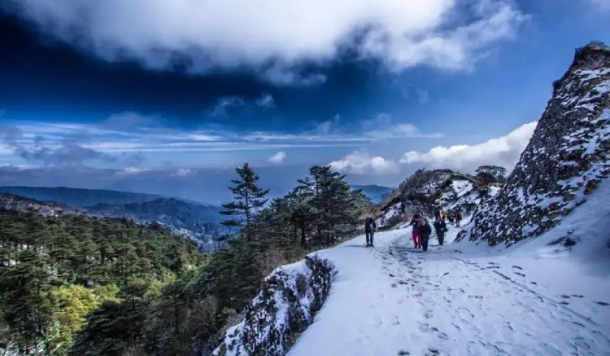 Sandakphu Trek by Sandakphu Trek – Your Gateway to Himalayan Beauty