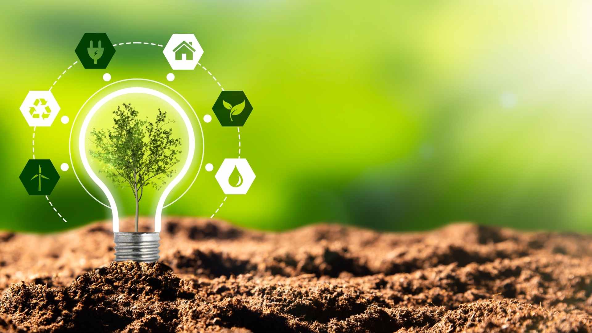 Sustainable Eating for a Healthier Future