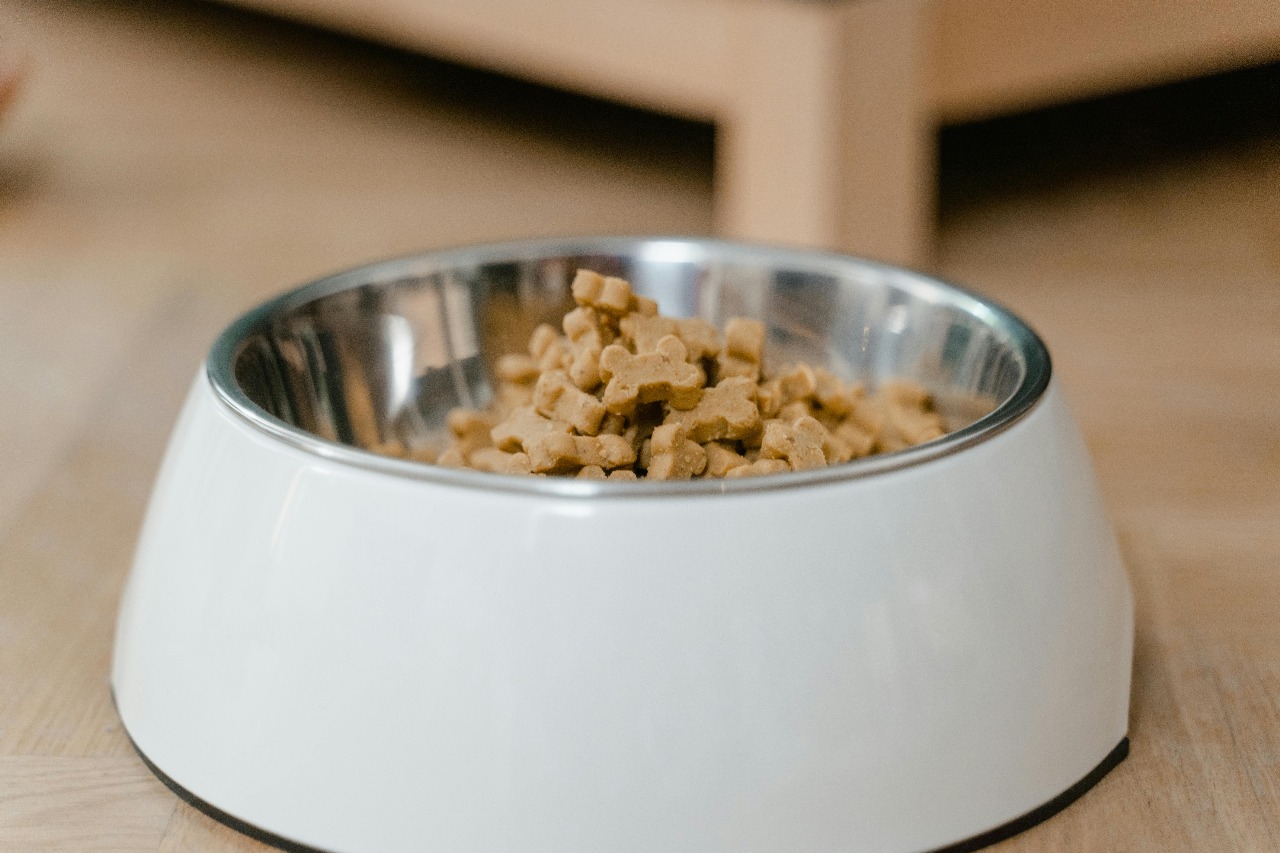8 Factors That Determine How Much Does Farmers Dog Cost for Your Pet