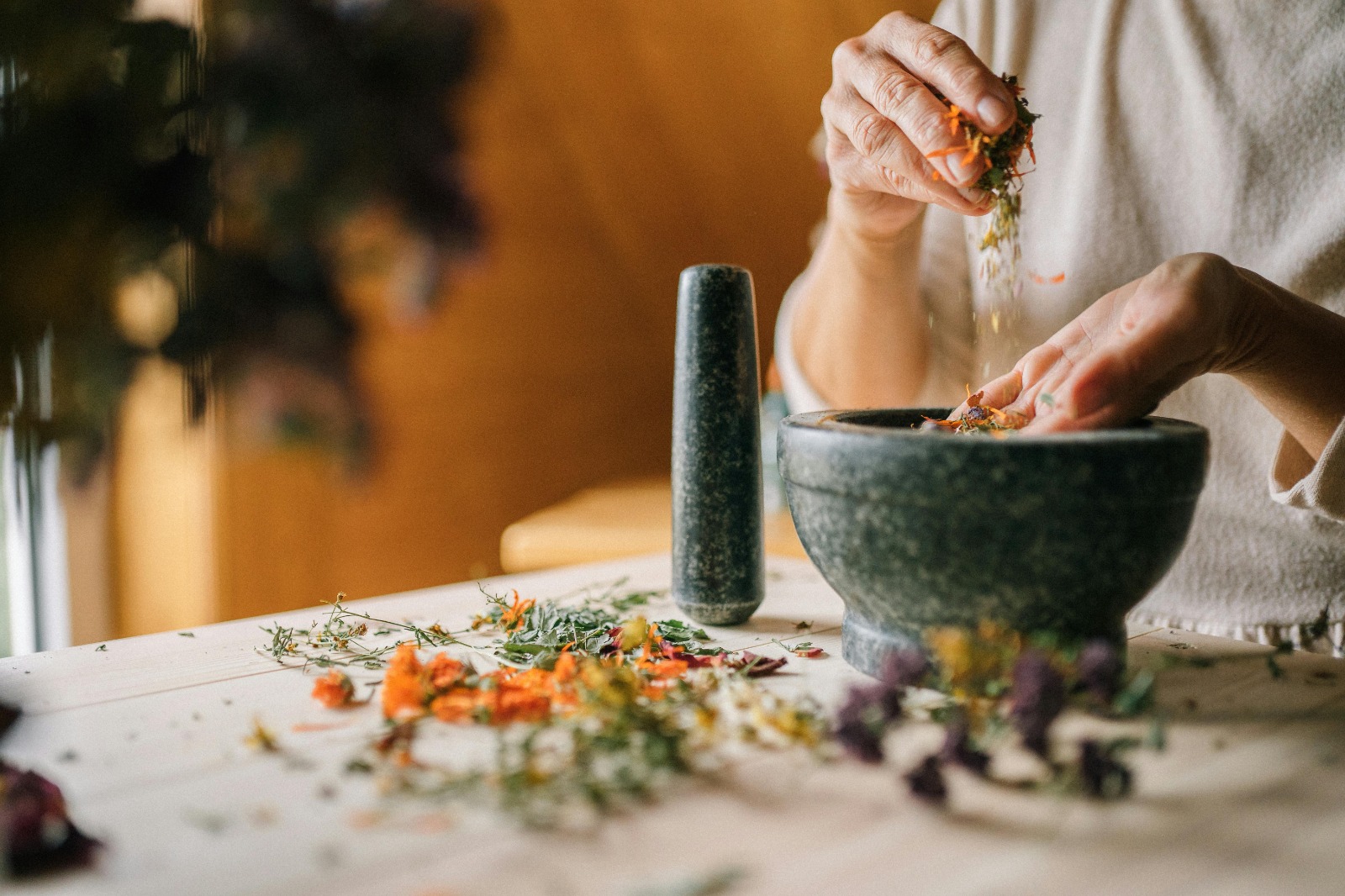 Ayurveda Online Courses to Build Strong Ayurvedic Foundations
