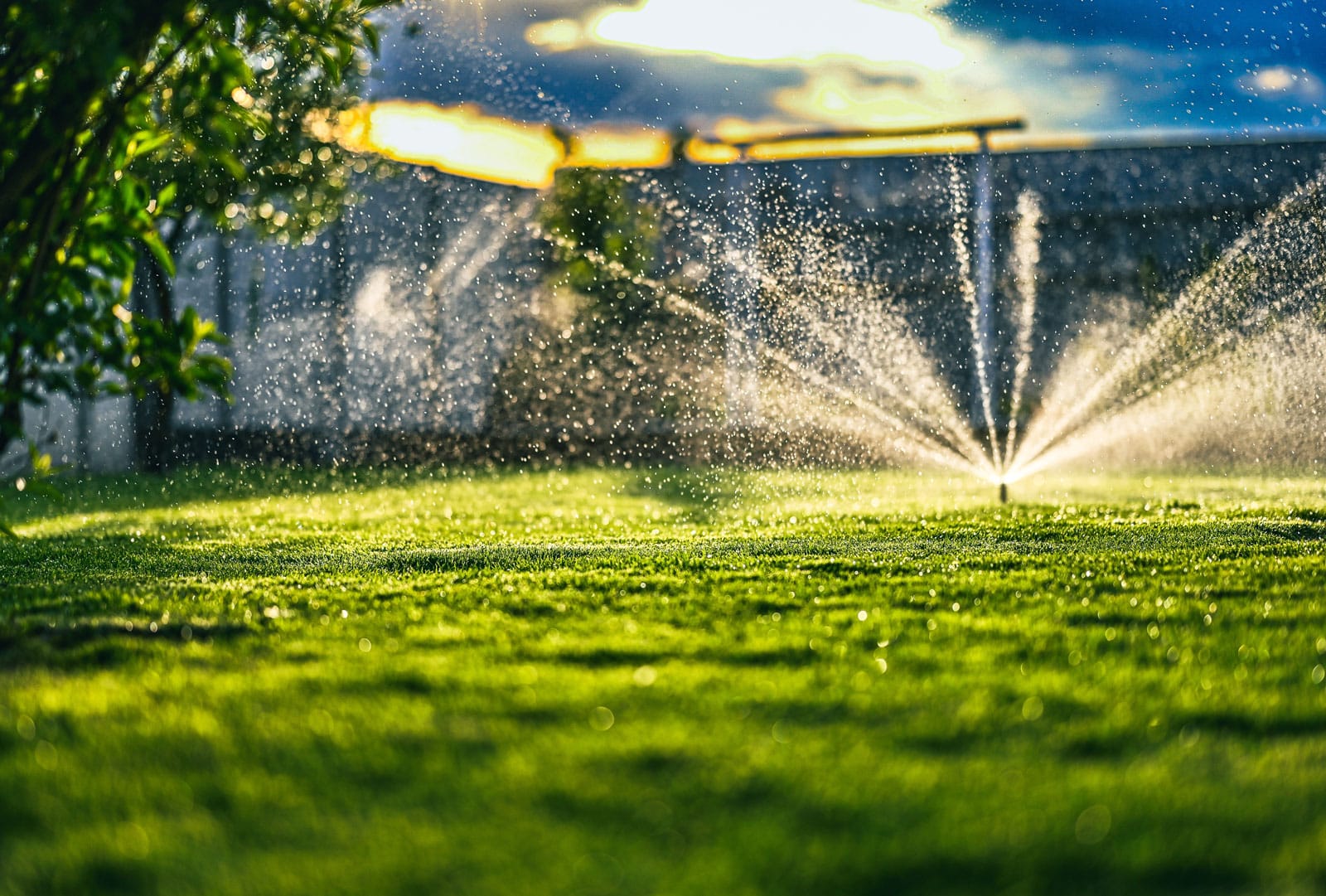 Expert Drainage Services in Springtown, TX for Effective Drainage Solutions
