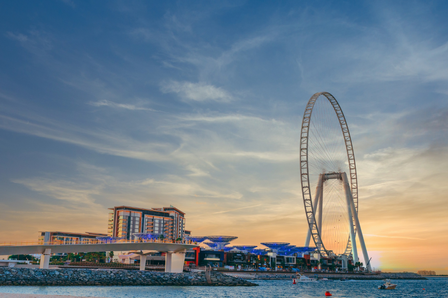 Dubai City Guide: Top-Rated Restaurants, Cafes, and Entertainment