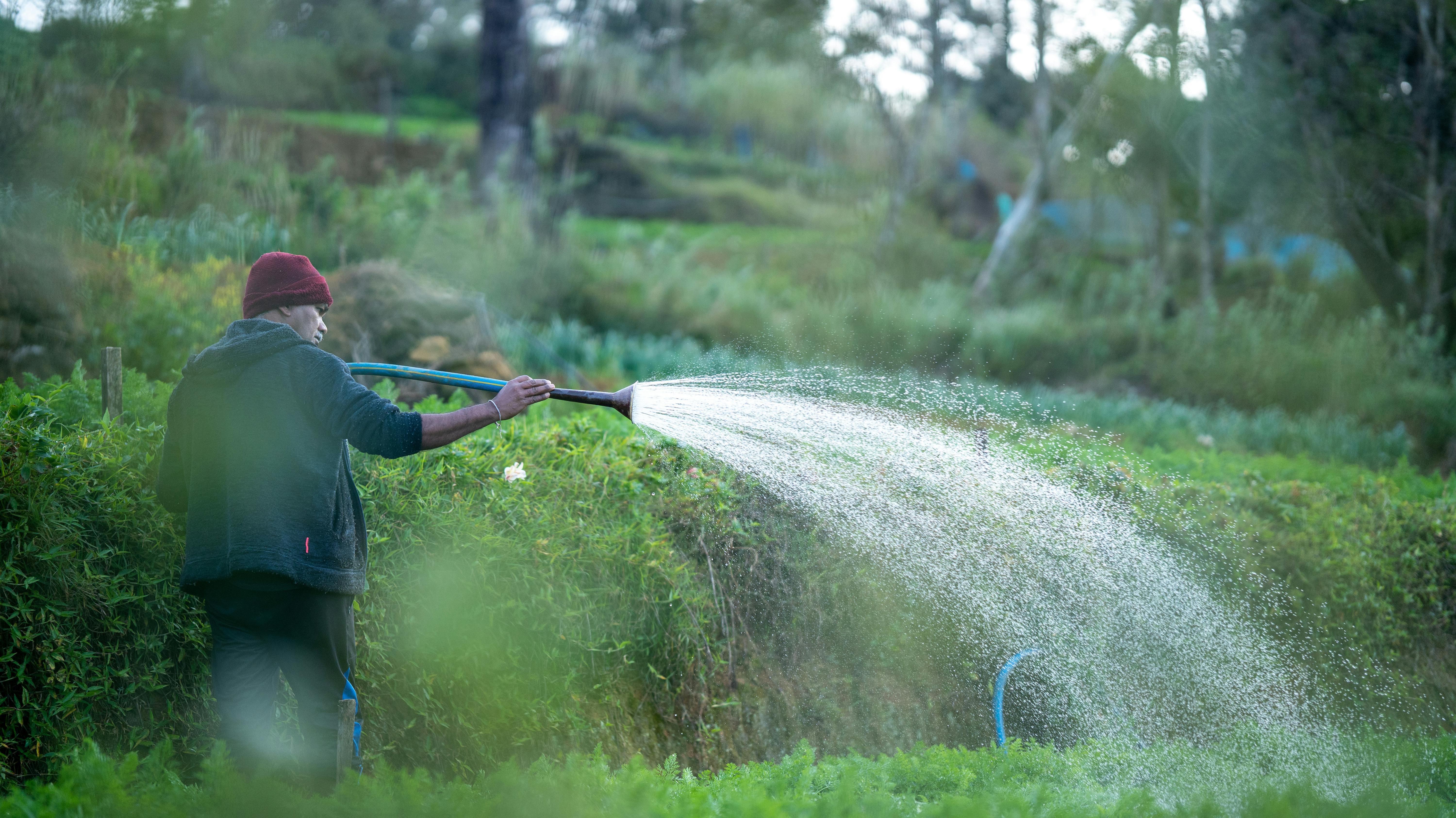 TRUSTED PROFESSIONAL IRRIGATION SERVICES IN HALTOM CITY, TX