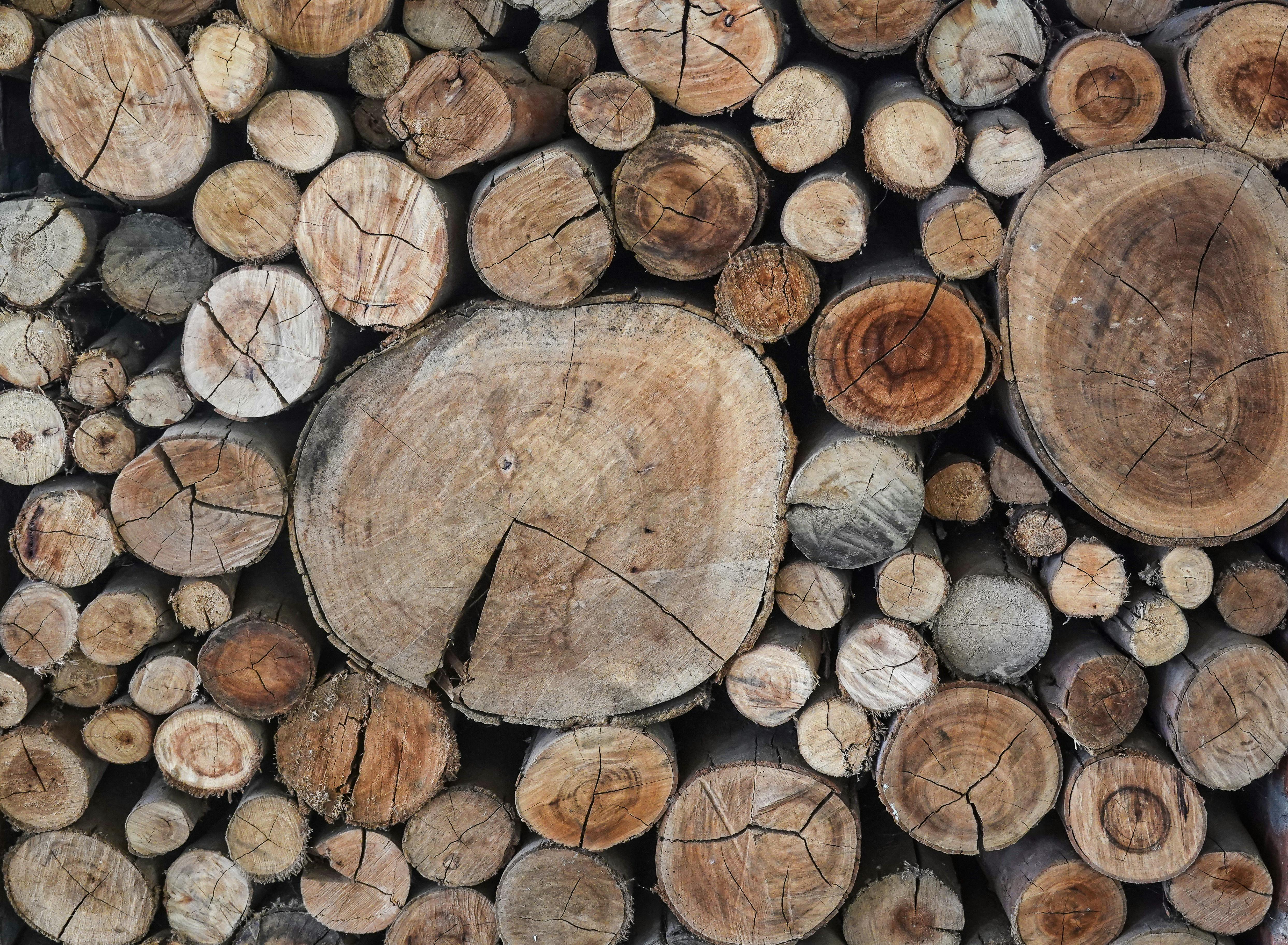 Why RUF Briquettes Netherlands Are the Preferred Choice for Biomass Heating